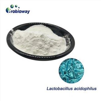 Lactobacillus Acidophilus por