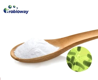 A Lactobacillus Johnsonii anaerob vagy aerob?