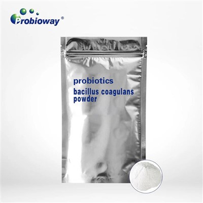 Bacillus Coagulans por